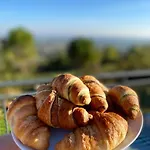 Bed & Breakfast Fontelini 3*