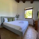 Fontelini