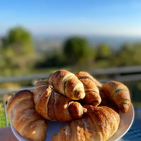 Bed & Breakfast Fontelini 3*