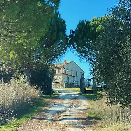 Fontelini Cingoli
