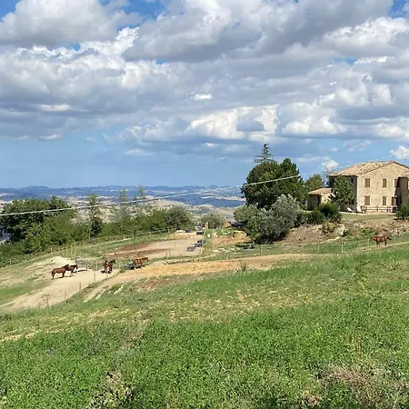 Fontelini 3*