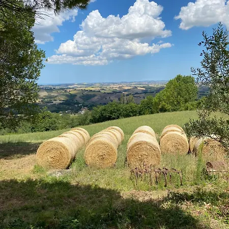 Fontelini 3* Cingoli