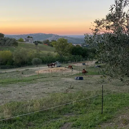 Frühstückspension Fontelini