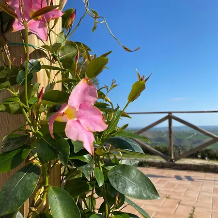 Fontelini Bed & Breakfast Cingoli